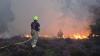 Nuclear power station 'monitoring wildfire' as blaze sees dozens evacuated