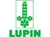 Lupin Announces U.S. FDA Approval and Launch of Sugammadex Injection