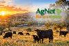 California Cattlemen’s President Says Loss of Grazing Land Threatens Beef Industry’s Future