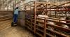 Classroom lessons meet the cattle industry for UK student