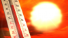 Nearly 10,000 die from extreme heat in Germany in 2026