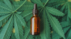 Clinical Trial: Oral CBD Dosing Reduces Pericarditis Pain and Recurrences