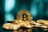 Bitcoin market stress rises on price weakness, but quiet exchange flows and leverage signal no broad capitulation yet.