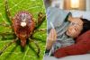 First case of untreatable, potentially fatal Bourbon virus confirmed in New York