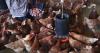 The World Bank Is Pouring Billions of Dollars into Large-scale Factory Farms