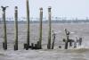 Mississippi Sound ‘Will Be a Dead Sea Within a Generation’ Due to Spillway Openings, Coalition Warns 