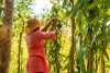 How Temu Helped a Madagascan Vanilla Family Business Sell Direct to Consumers Across Europe
