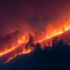 How Philanthropy and Charities are Poised to Facilitate Natural Disaster Recovery and Reclamation