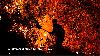 ‘All Europe on fire’: Pictures show extreme threat to Spain, France and Greece