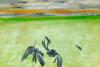 Group exhibition explores Thailand's changing contemporary art scene