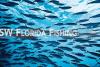 SW Florida Fishing: 2026 Tarpon Season jump shots