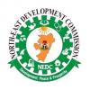 NEDC Approves ₦100bn Solar Power Project for North-East