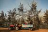 Gathering strength: Turkey confronts growing wildfires on tourist coasts