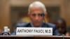 Top 11 Takeaways From Anthony Fauci’s Hearing in Front of Senate Committee