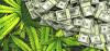 Study: Businesses Perform Better in States with Medical Cannabis Access