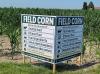 Agri-education more important than ever