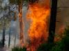 Europe’s heating climate sparks ‘major intensification’ of fires: Report
