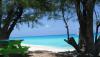 Latest travel advisory urges for Bahamas. Here's why