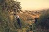Italian agriturismo: Tap into a vineyard’s heartbeat