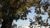 Cold, wet winter predicted for Florida. When will the heat ease up?
