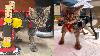 Tiny rescue kitten in Cincinnati gets upgraded wheelchair as internet fame grows