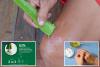 People prefer natural ingredients you can find in your home, remedies in first aid products: survey