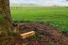 Automatic Trap Company Announces Results of New Study Showing Poison-Free Automatic Traps in Field Trial Cut Mongoose Tracking Rate From 58% to 8%