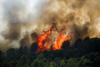 UN urges greater investment in wildfire prevention