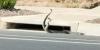 Watch: Two rattlesnakes ‘dance’ on busy street as Southern California sees spike in bite cases