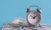 Highlighting Rising Liability for Employers, NJ Settles First Misclassification Suit Under New Law