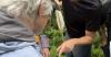 Butterfly blitzing: Volunteer naturalists help scientists survey the state’s butterfly populations
