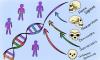 The ghost ancestors hiding in your DNA: Scientists uncover traces of two mysterious human relatives we've never found
