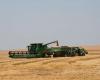 Wheat Scoop - U.S. wheat quality: Winning beyond price