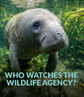 Did Florida Wildlife Agency Secretly Spy on Activists Using State DMV Records?