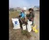 Nome in Bloom: New local nonprofit freshens up Nome