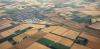 UK drought: crop harvests at severe risk of collapse