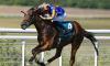 Next stop... Paris? Diamond Necklace could thrill French fans after sparkling in Goodwood sunshine