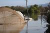 California Rep. Panetta authors new legislation to mitigate flood risk on ag lands