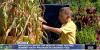 NET Health hosts free youth summer gardening program