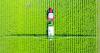FMC Q2 earnings: Farmers opt for generic active chemicals amid ag economy challenges