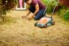 7 Common Lawn Problems That Are a Real Pain in the Grass