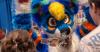 Louisiana Comic Convention will not return to Lafayette in 2027