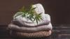 Panda Biotech, Culturewell launch India’s first hemp yarn supply chain
