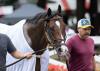 Obliteration Faces Familiar Foes In Amsterdam