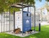 Dubai launches donations for stray cat feeding