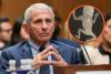 Disturbing Montana Lab Details Emerge in Fauci Probe