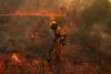 Human-caused climate change made Spanish, French fires much more likely, scientists calculate