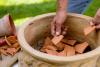 9 Gardening Myths Experts Wish More People Would Stop Believing