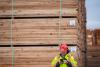 Major Canadian Lumber Firm Moving Corporate Operations to United States