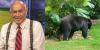 James Spann becomes Alabama’s unofficial Shelby County bear reporter
